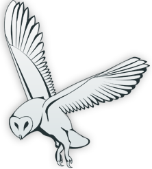 Chat live fuck fuck gay and a guy